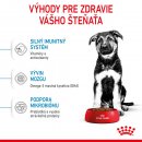 Royal Canin Maxi Puppy 15 kg