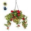 Geránium červená v závesnom kvetináči vonkajšie, 45cm (Umelá kvetina)