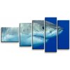 Sablio Obraz - 5-dílný Žralok - 100x60 cm