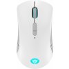 Lenovo Legion M600 Wireless Gaming Mouse GY51C96033