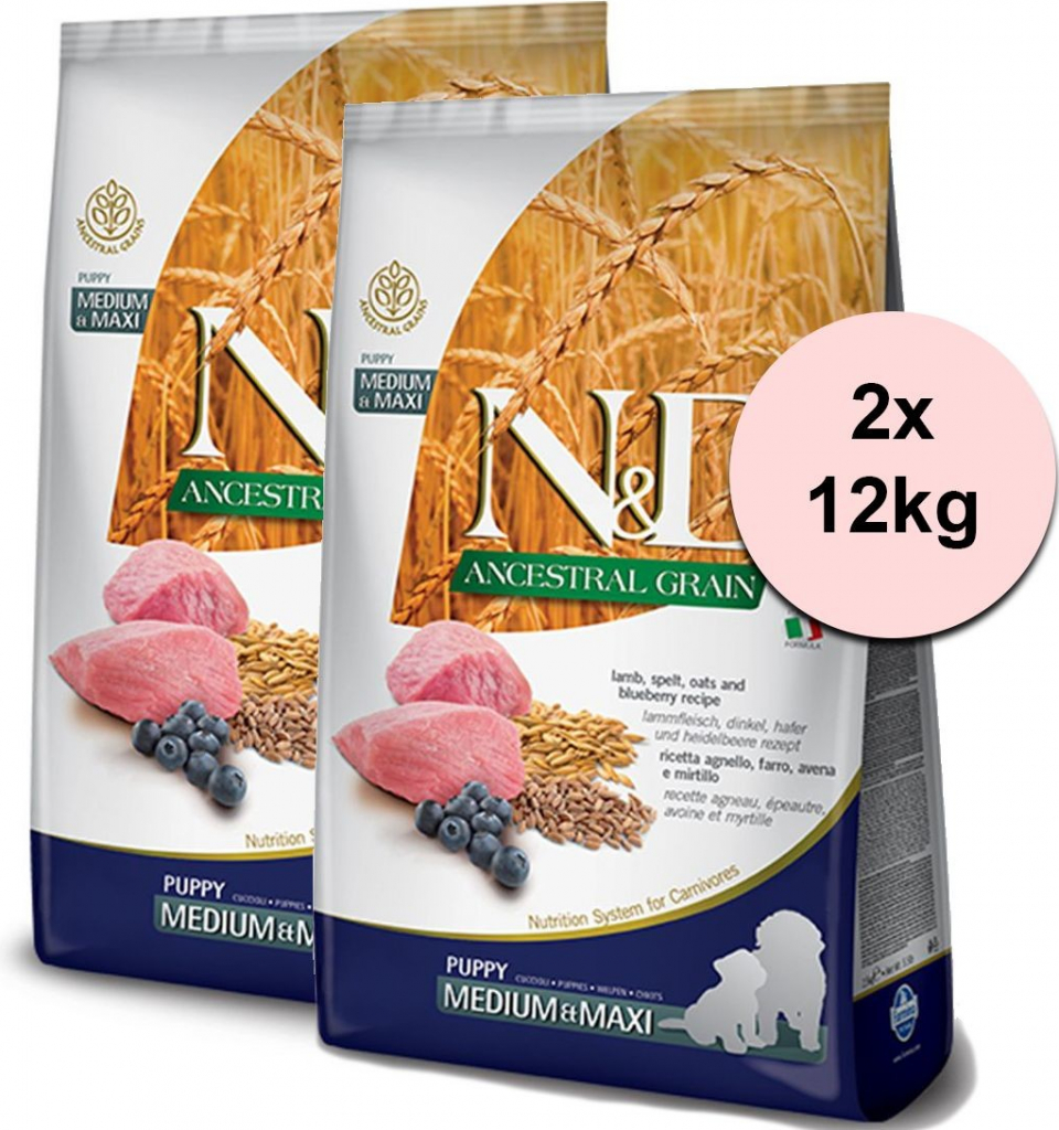 N&D dog LG Puppy Medium & maxi Lamb & Blueberry 2 x 12 kg