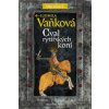 Cval rytířských koní