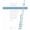 Variations on 'La ci darem la mano' from Mozart 'Don Giovanni'