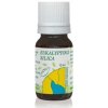 HANUS Silica eukalyptová 10 ml