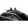 THULE SNOWPACK M