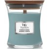 WoodWick Evergreen Cashmere - Kašmír a lesní jehličnany vonná svíčka s dřevěným knotem a víčkem sklo malá 85 g
