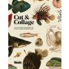 Cut and Collage (Kale James)(Brožovaná)