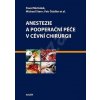 Anestezie a pooperační péče v cévní chirurgii
