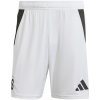 Pánske krátke nohavice adidas, SPARTA PRAGUE 24/25 HOME SHORTS Biela,Čierna,Zlatá M