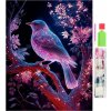 HUR SADA PRO DIAMANTOVÉ MALOVÁNÍ PTÁK 5D 30X40CM