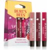 Burt’s Bees Festive Lip Shimmer Peony lesk na pery 2,6 g + Burt’s Bees Lip Shimmer Rhubarb lesk na pery 2,6 g + Burt’s Bees Lip Shimmer Fig lesk na pery 2,6 g kozmetická sada