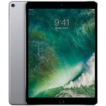 Apple iPad Pro Wi-Fi 256GB Space Gray MPDY2HC/A