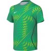 Nike | Dri-FIT Gardien VI Goalkeeper Kids | zelená| S(128-137cm)