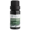 Nobilis Tilia Éterický olej BORIEVKA 10 ml