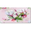 Fotoobraz sklenený na stenu do obývačky kvety magnólia 100x50 cm
