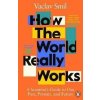 How the World Really Works : A Scientist´s Guide to Our Past, Present and Future - Václav Smil