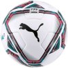 Puma teamFINAL 21.3 Fifa Quality Ball 083306 01 4