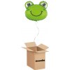 HeliumKing Balónový box - Žaba