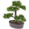 Umelý Bonsai Céder v kvetináči, 32cm