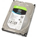 Seagate SkyHawk 6TB, ST6000VX001