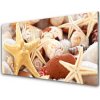 Sklenený obklad Do kuchyne Hviezdice mušle pláž 100x50 cm