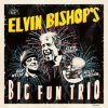 BISHOP ELVIN: ELVIN BISHOPS BIG FUN CD