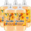 Coccolino Creations Orange Rush Aviváž 5 x 1,7 l 68 PD