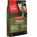 ORIJEN Tundra CAT 5,4 kg