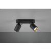TRIO 803500232 Pago Stropné svietidlo 240mm GU10 2X35W Matná čierna