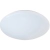 Reality Stropné LED svietidlo Putz biele 12 W, 1160 lm, 3000 K, pr. 27 x 8,5 cm