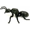 Atlas Mravec čiernolesklý 9 cm