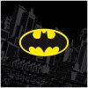 Carbotex · Detský magický uterák Batman - 100% bavlna - 30 x 30 cm