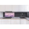 DIMEX | Dibond doska za kuchynskú linku | DBW-08040-124 Levanduľa| 80 x 40 cm + Dibond obkladová doska Dimex do kuchyne Levanduľav rozmere 80 x 40 cm