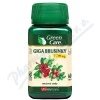 VitaHarmony Giga Brusinky 7.700mg tbl.60