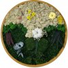Machový obraz - rastliny Veľkosť rámu: 30cm