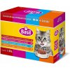 Krmivo pre mačky vrecúška kúsky v omáčke Basil MIX 4 príchute 100g x 12 ks
