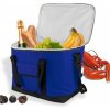 DEMA Chladiaca taška CoolBag 32 L, modrá