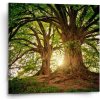 Sablio Obraz Stromy - 50x50 cm
