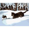 Zuty – Maľovanie Podľa Čísel – Puma Loviaca Zajaca V Snehu (D. Rusty Rust), 40 × 50 cm, Plátno + Rám 8596530164050