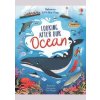 Lift-the-flap Looking After Our Ocean - Rose Hall, Usborne Publishing