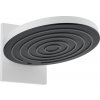HansGrohe 24151700