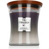 WoodWick Trilogy Warm Woods Vonná sviečka 275 g jinavarianta Amethyst Sky
