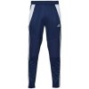 adidas Tepláky/Vrchné oblečenie Tiro 24 Winterized Pants Modrá