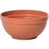 Prosperplast Kvetináčová misa 20 cm terakotová