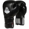 BUSHIDO Boxerské rukavice DBX B-2v9