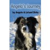 Angelo's Journey: A Border Collie's Quest for Home