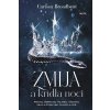 Zmija a krídla noci