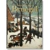 Bruegel - The complete paintings (Jürgen Müller)(Pevná)