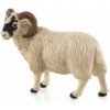 Animal planet - Mojo Baran Hampshire