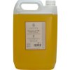 Základný masážny olej Hroznový 1 (Grapeseed) - GAIA SPA Objem: 5L